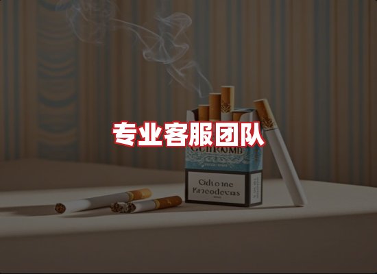专业团队